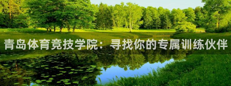捷豹体育上买球安全吗