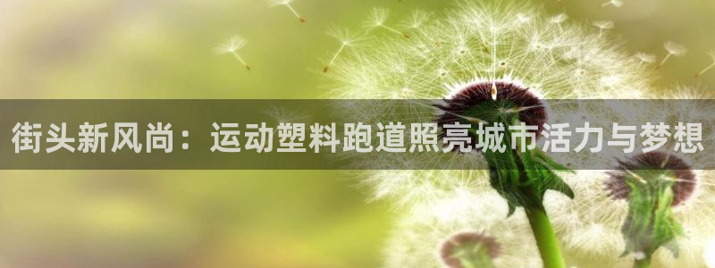 捷豹体育app官方下载：街头新风尚：运动塑料跑道照亮城市活力与梦想